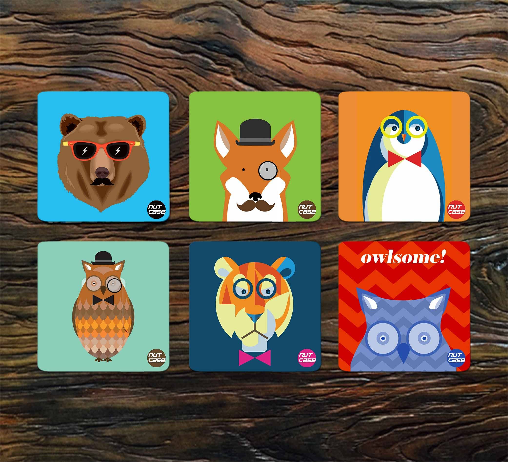 Kids Design Metal Coaster Set of 6 for Home Dining Table - Owlsome