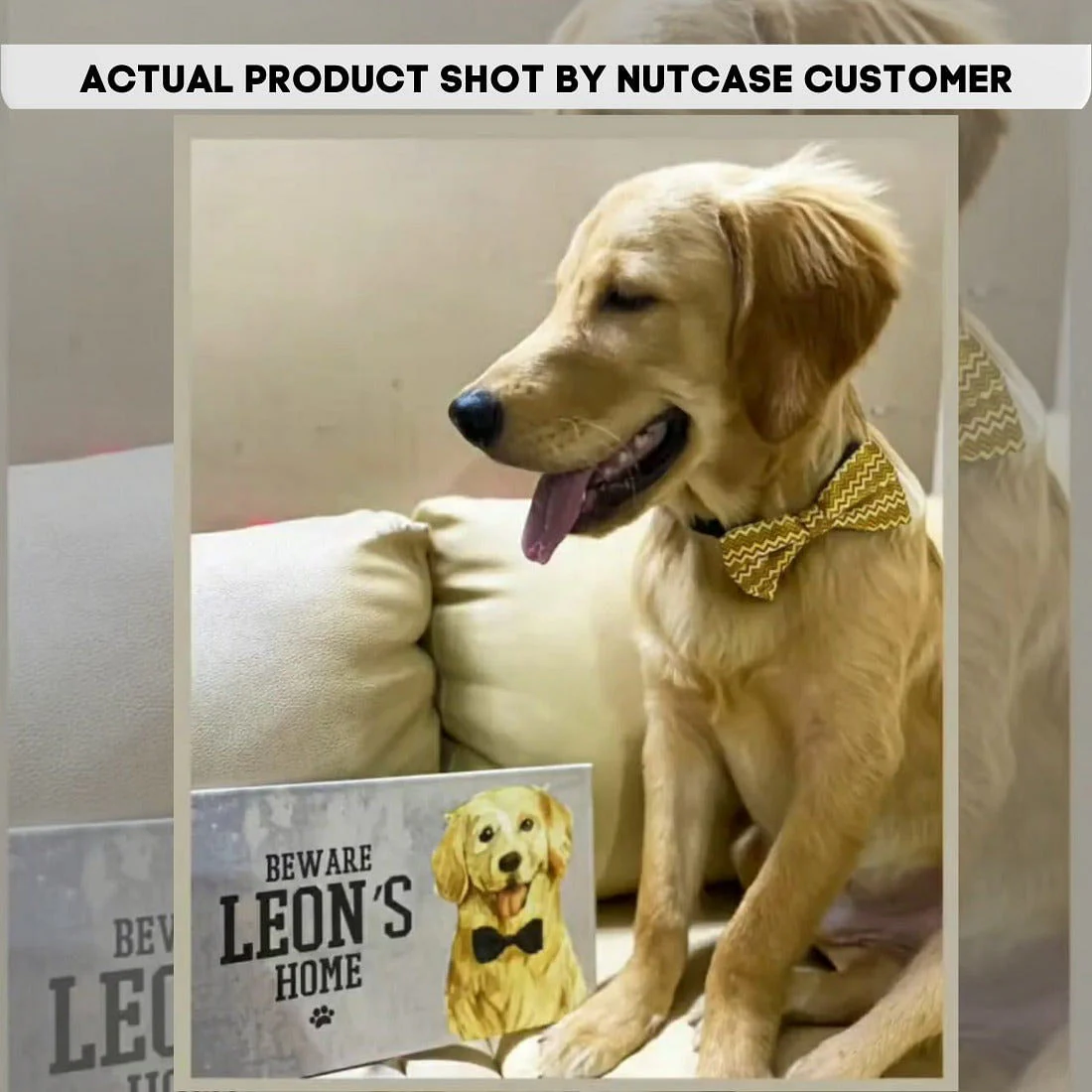 New Customized Nameplate for Pets -Loving Cute Golden Retriever - Image 2