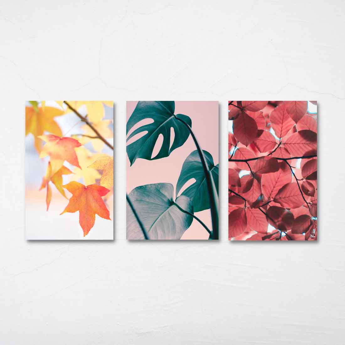 Designer Wall Art Decor Set Gallery Wrapped Prints -Leaves