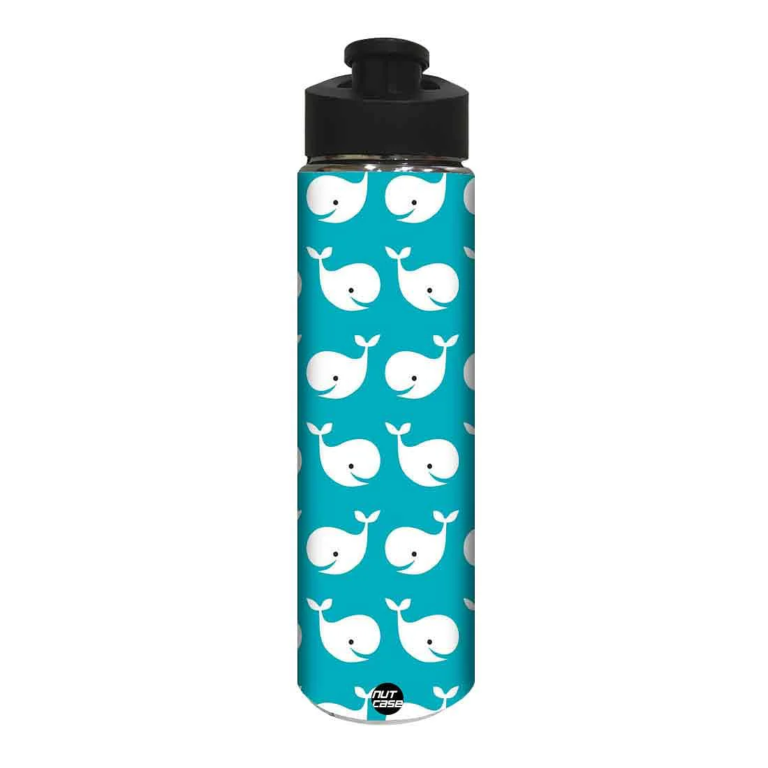 Birthday Return Gifts Ideas - Whale Fish