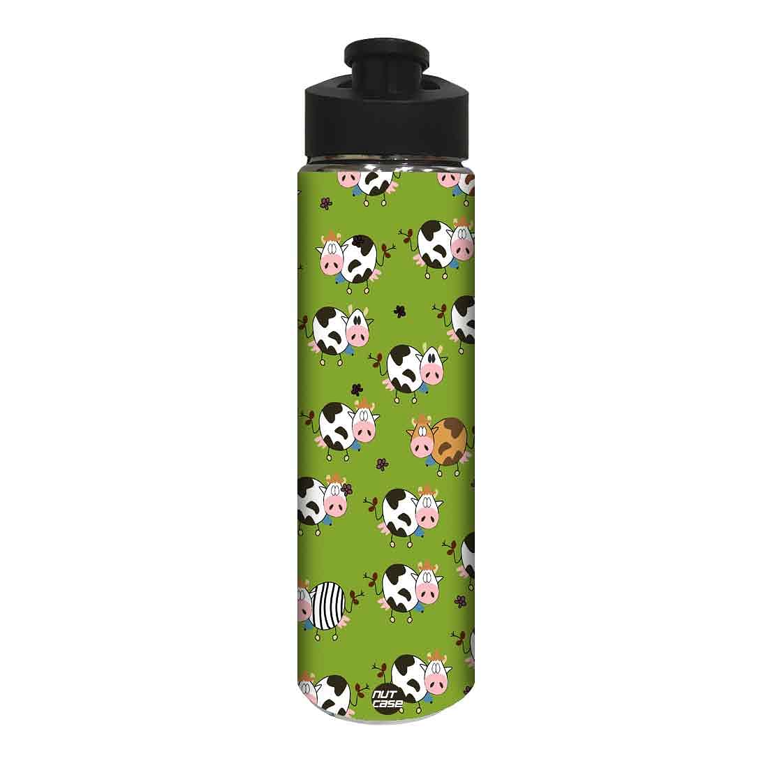 Birthday Return Gifts Ideas - Jersey Cattle