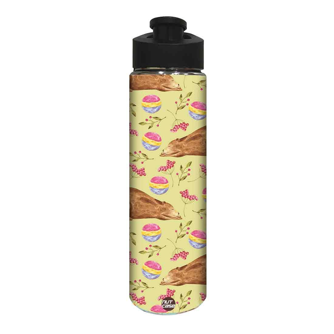 Stainless Steel Water Bottle - Bear and Ball