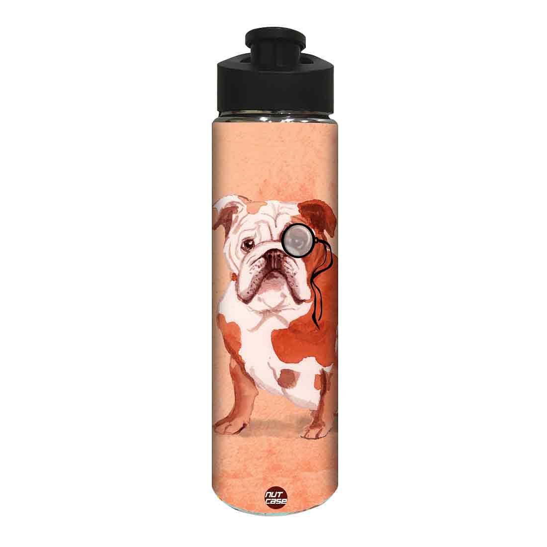 Designer Stainless Steel Sipper Bottle - Bulldog