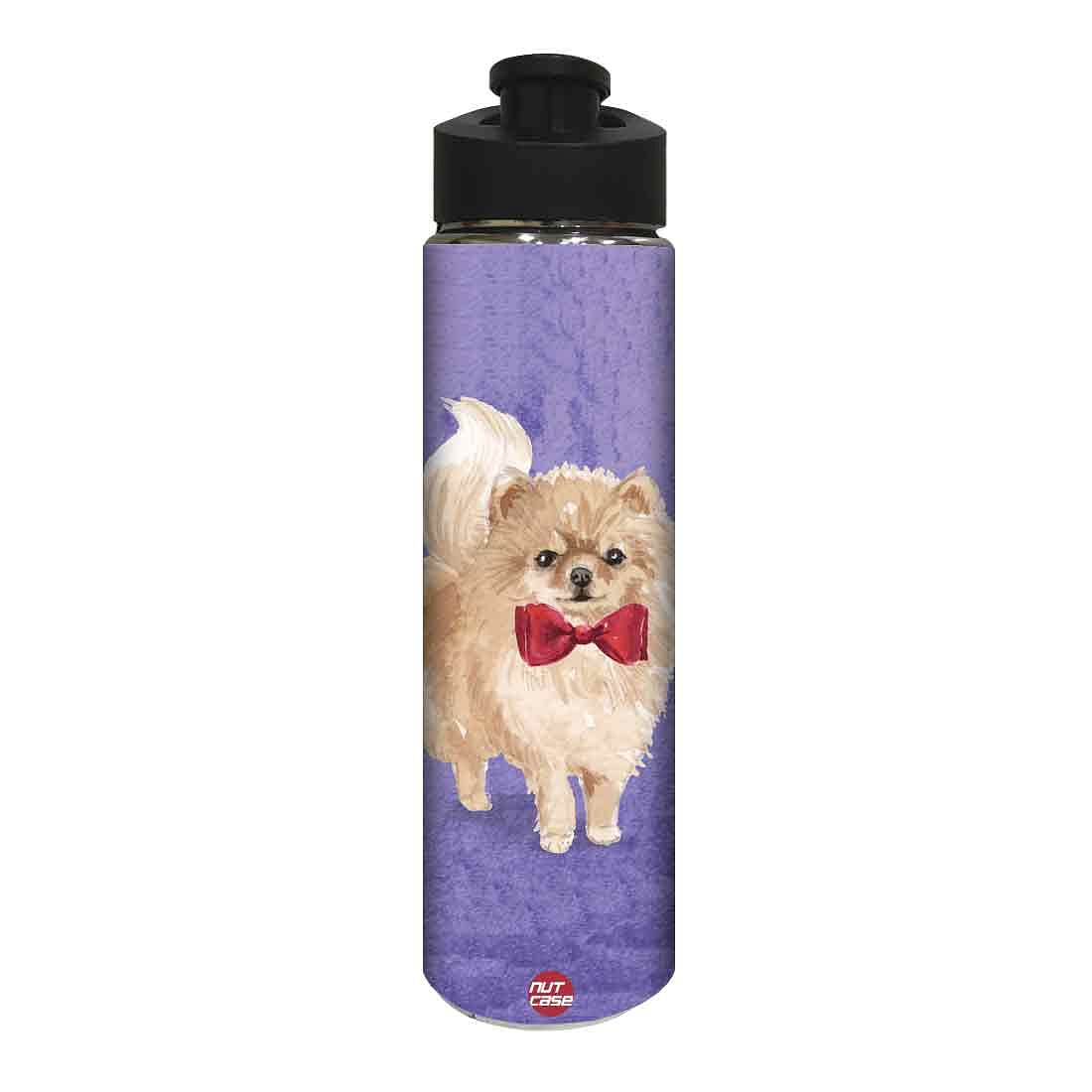 Designer Stainless Steel Water Bottle - Cute Cat Love