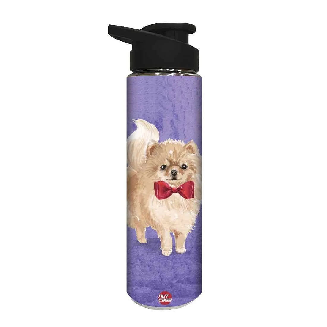 Designer Stainless Steel Water Bottle - Cute Cat Love - Image 2