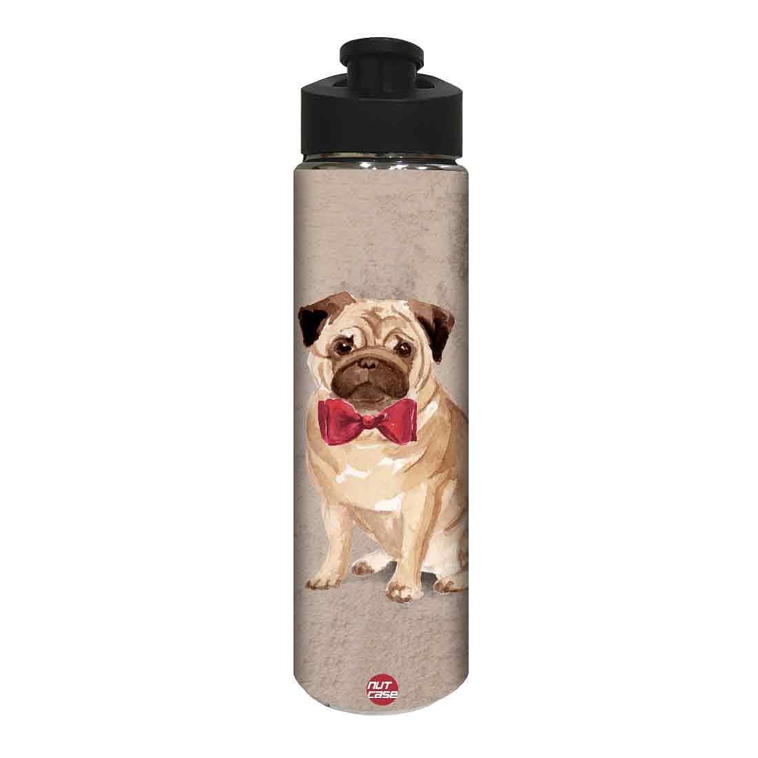 Stainless Steel Water Bottle - Cute Bulldog