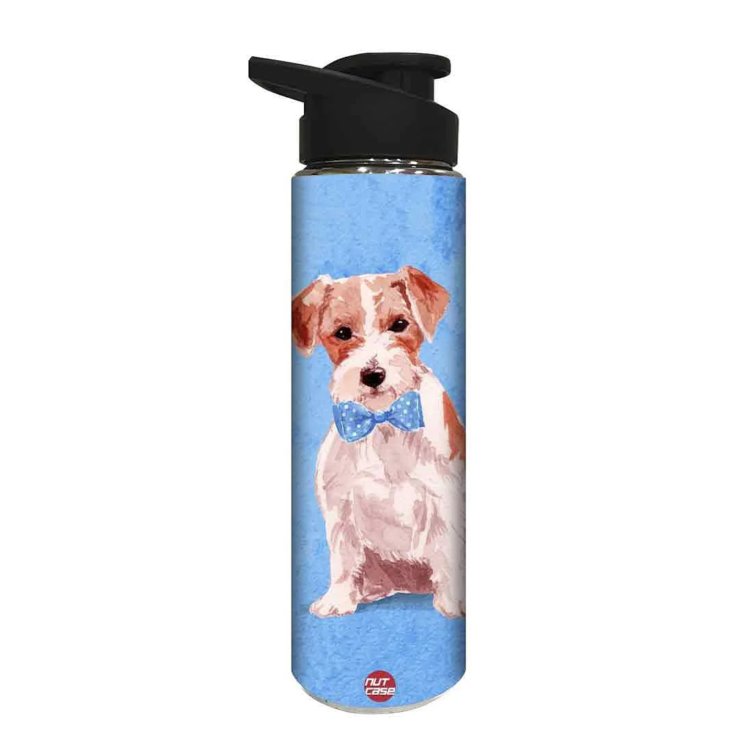 Designer Sipper Metal Drink Bottle for Children - Nice Dog - Image 2