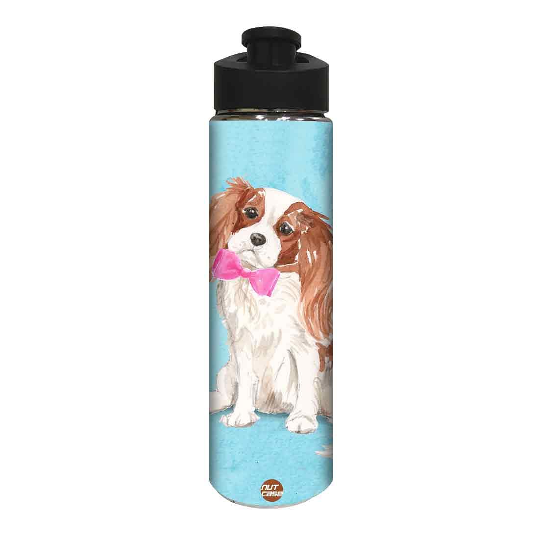 Designer Sipper Bottle for Kids - Smarty Dog