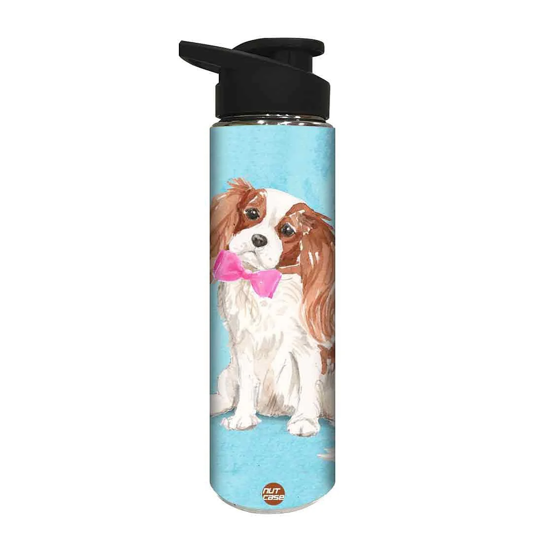 Designer Sipper Bottle for Kids - Smarty Dog - Image 2