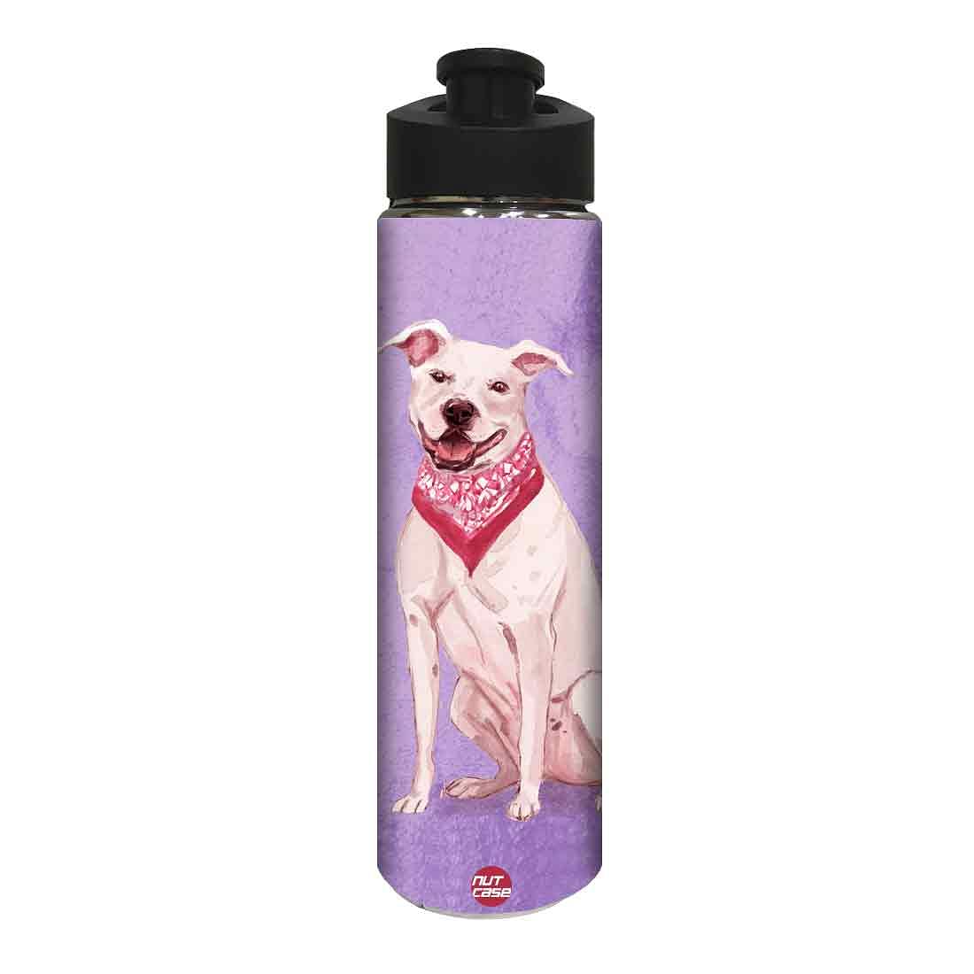 Return Gifts for Birthday Party - Cute Smart Dog