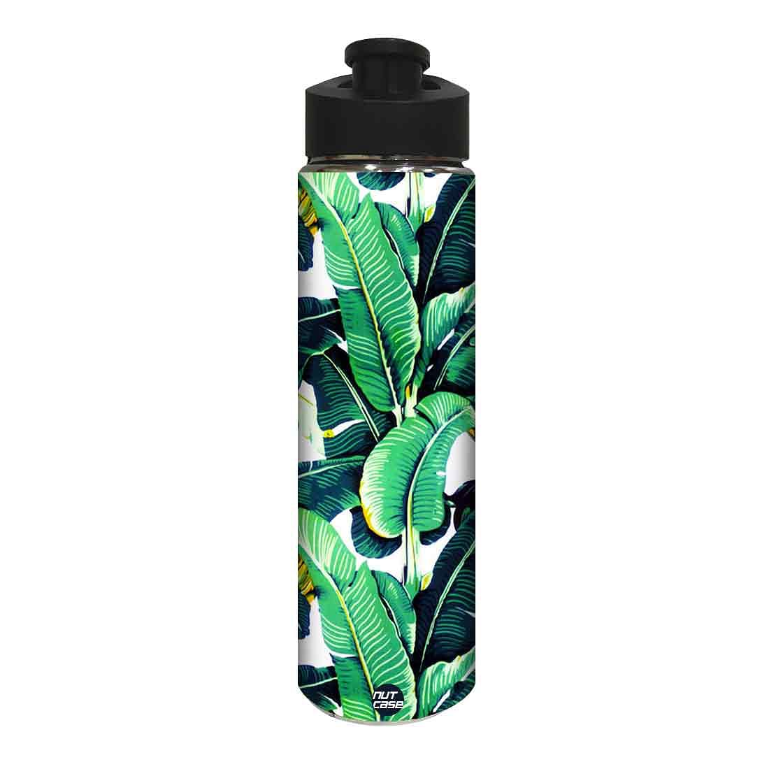 Best Steel Water Bottle for Kids - Banana Leaves